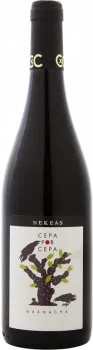 capture du vin la Fuente de Nekeas