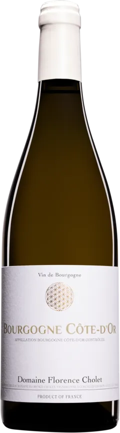 vue du vin Domaine Florence Cholet Bourgogne Côte d’Or Chardonnay Blanc 2023