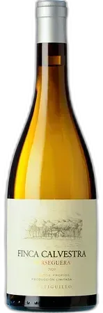 illustration du vin Finca Calvestra