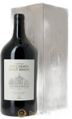 vue du vin Château les Carmes Haut-Brion