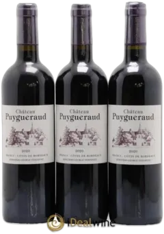 photo Château Puygueraud