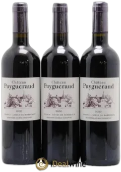 photo Château Puygueraud