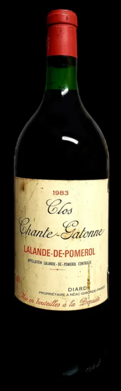 vue du vin Clos Chante Gatonne 1983 Magnum