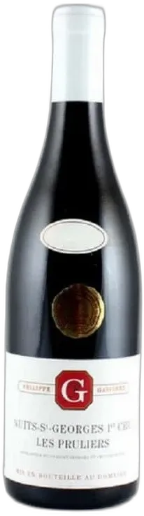 photo Domaine Philippe Gavignet Nuits Saint-Georges Rouge 1er Cru les Pruliers 2020
