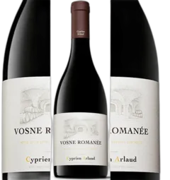 photo Vosne Romanée 2022 Cyprien Arlaud