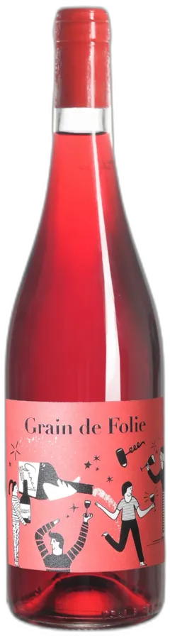 vue du vin Gamay "Grain de Folie" Vdf