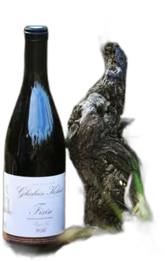 image du vin Fixin Vieilles Vignes