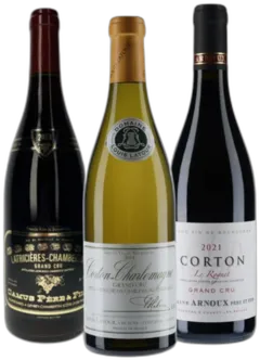 vue du vin Grands Crus Bourgogne