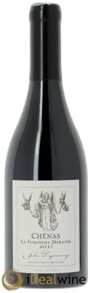 vue du vin Chénas le Jugement Dernier