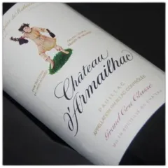 vue du vin Château d'Armailhac