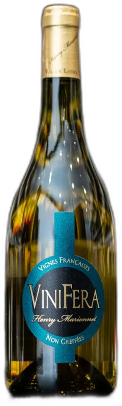 illustration du vin Vinifera Chenin