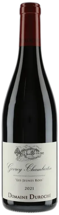 vue du vin Gevrey-Chambertin les Jeunes Rois