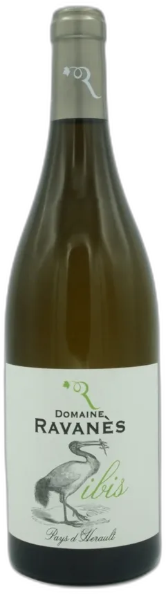 photo du vin Domaine Ravanes Igp Pays d’Herault "Ibis" 2021