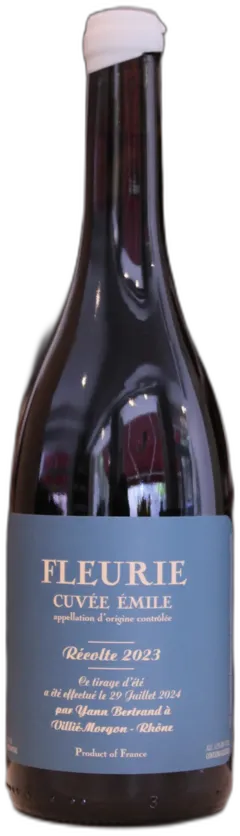 vue du vin Fleurie Emile 2023 les Bertrand