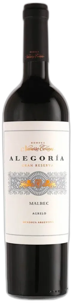 vue du vin Mendoza ig Malbec Alegoría Gran Reserva Navarro Correas 2022