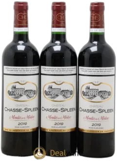 image du vin Château Chasse Spleen 2019