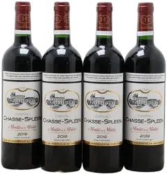image du vin Château Chasse Spleen 2019