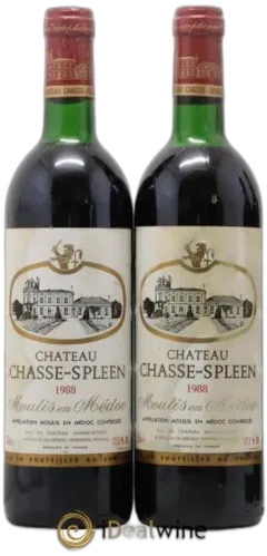 photo du vin Château Chasse-Spleen