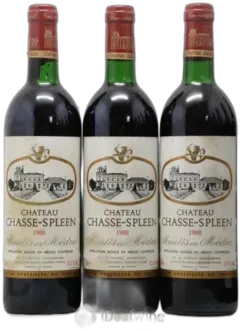 photo du vin Château Chasse-Spleen