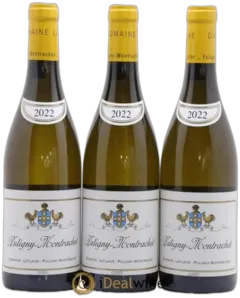 photo Puligny-Montrachet Leflaive & Associés 2022