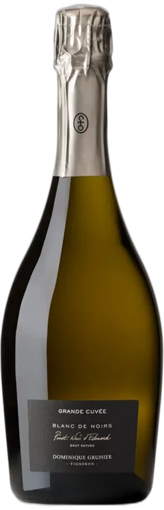 vue du vin Crémant de Bourgogne Grande Cuvée Pinot Noir d’Edouard Blanc de Noirs Brut Nature