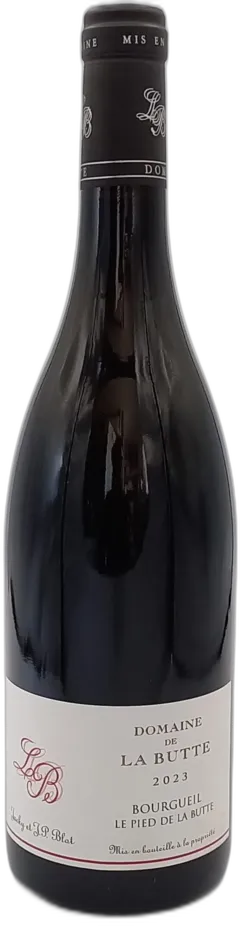 vue du vin le Pied de la Butte