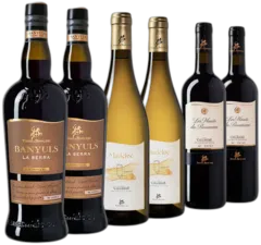 vue du vin Sélection Terroir Aop Collioure & Aop Banyuls x6