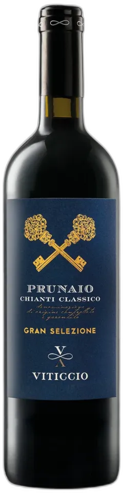 vue du vin Chianti Classico Docg Gran Selezione Prunaio Viticcio 2019