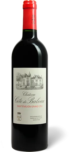 vue du vin Château Cote de Baleau