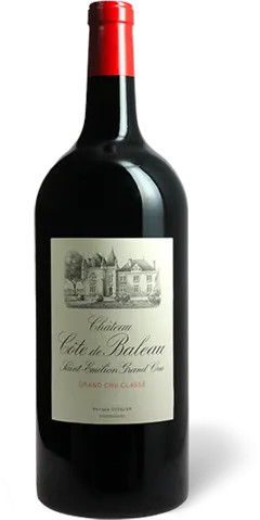 vue du vin Château Cote de Baleau