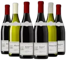 photo du vin Découverte