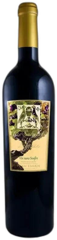 illustration du vin les Sarments de Léognan