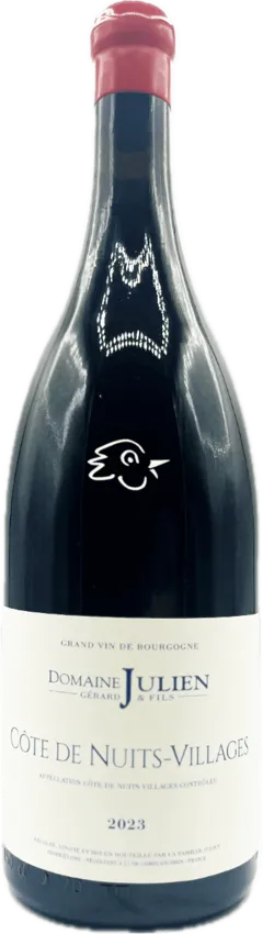 capture du vin Côte de Nuits Villages 2023 Magnum