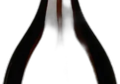image du vin Valdobbiadene Prosecco Docg Brut Millesimato 'Guia