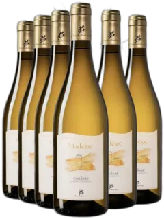 illustration du vin Aop Collioure Madeloc x6