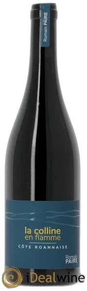 photo du vin Côte Roannaise la Colline en Flamme