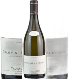 illustration du vin Chassagne Montrachet 1er Cru les Chenevottes