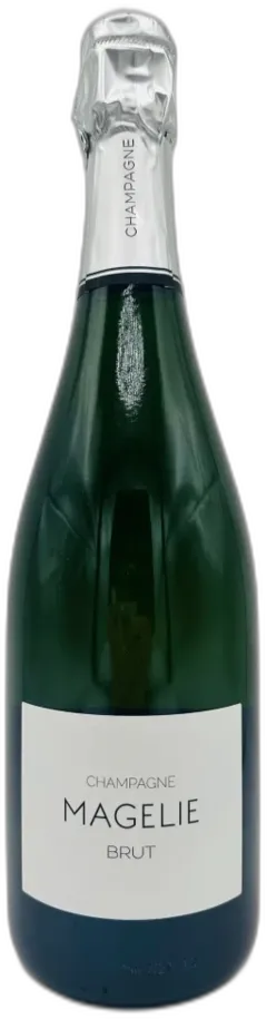 aperçu du vin Domaine Bernard Gaucher Magelie Brut France