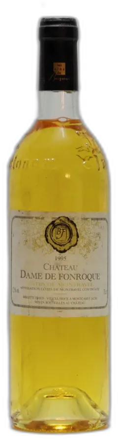 vue du vin Château Dame de Fonroque, Côtes de Montravel