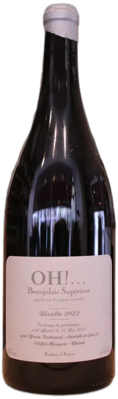 vue du vin Beaujolais 
