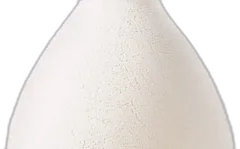 photos du vin Champagne Brut Blanc de Blancs "Second Skin" Magnum Ruinart