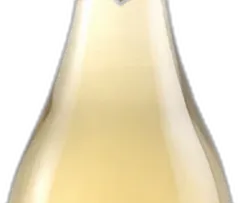 vue du vin Champagne Extra Brut 'le Blanc de Blancs A/18