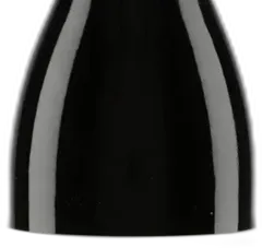 image du vin Beaune 1er Cru 'Teurons' 2023 Arnaud Baillot