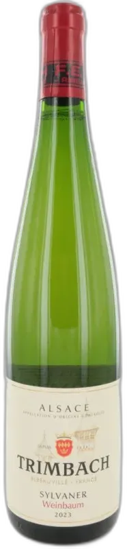 vue du vin Sylvaner Weinbaum