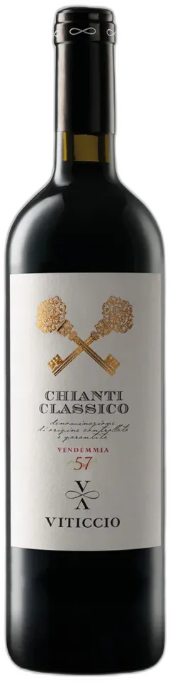 aperçu du vin Chianti Classico Docg Viticcio 2022