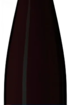 photo du vin Pinot Noir Ancestral Welty 2023 Bio Alsace Aop
