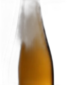 image du vin Riesling les Naturels 2022 Welty Bio-Sans So2 Aop