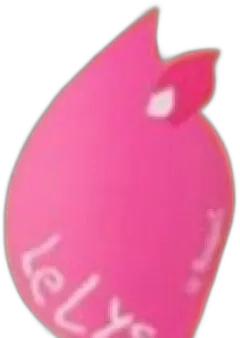 illustration du vin le Lys Buzet Aoc