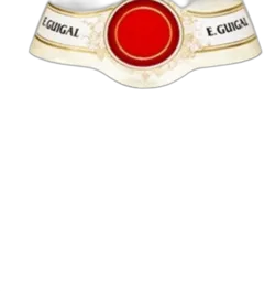 image du vin Cotes du Rhone Aoc Guigal 2020 Magnum