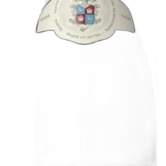 photo du vin Gigondas Aop Perrin la Gille 2022